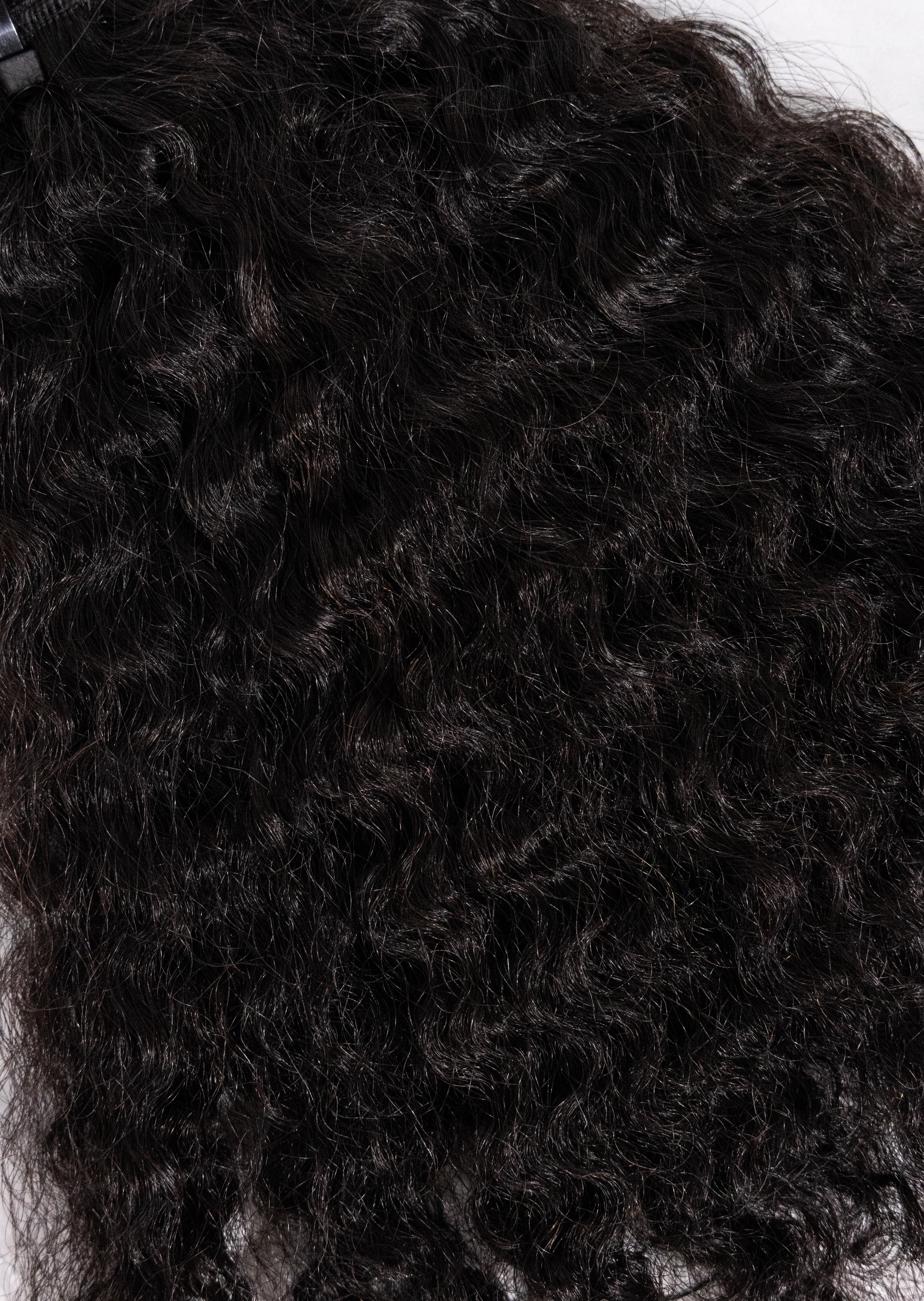 Burma Goddess Curl